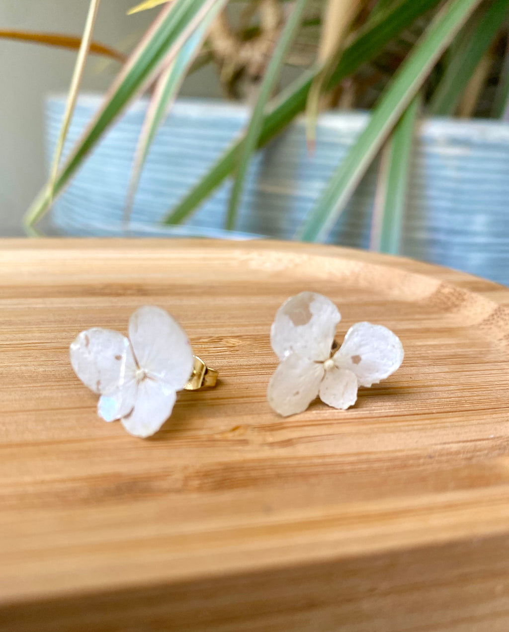 Puces d'oreilles fleur Hortensia blanc